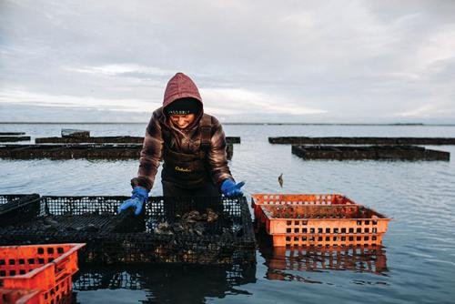 cov_copy-of-ico-farming-decembersunset-night-29